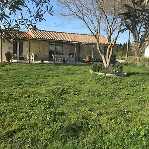 Mazet En Camargue Hébergement de vacances Arles